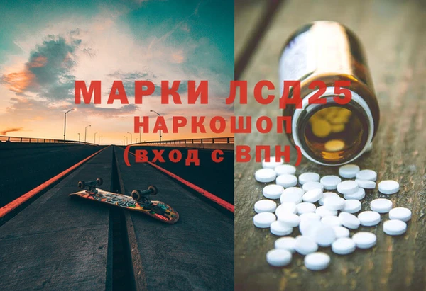 амф Горняк